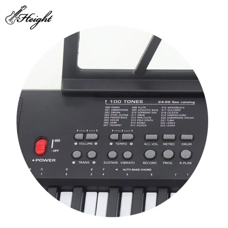 61 Keys Electric Piano Keyboard Instrument