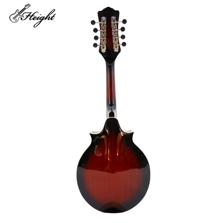 Unrivaled Electric Acoustic Mandolin