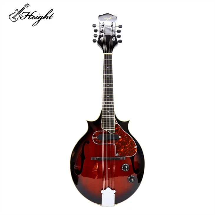 Unrivaled Electric Acoustic Mandolin